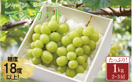 8月末受付終了！ シャインマスカット 1kg 2～3房