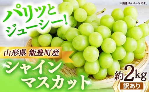 【✨旬の味覚をお届け✨】【訳あり】山形県産 シャインマスカット 約2kg