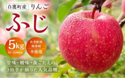 白鷹町産りんご （ふじ） 5kg