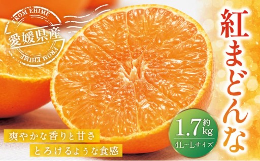 愛媛の旬の柑橘 「紅まどんな」約1.7kg 4L～Lサイズ 6～10個