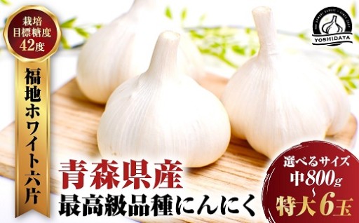 【2026年産】青森県産にんにく 福地ホワイト種
