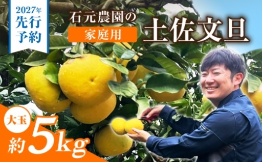 【先行予約】大玉たっぷり5kg！ご家庭用土佐文旦