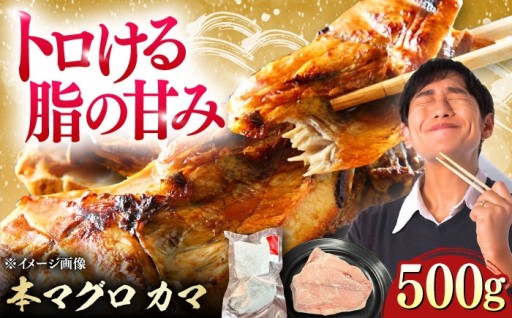  とろける絶品 本マグロのかま