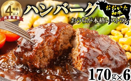 おおいた和牛 ハンバーグ (170g×6)