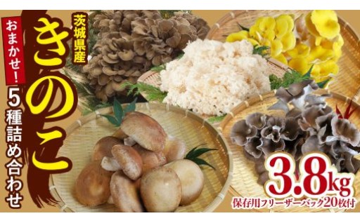 茨城県産のきのこを詰め合わせでお届けします！