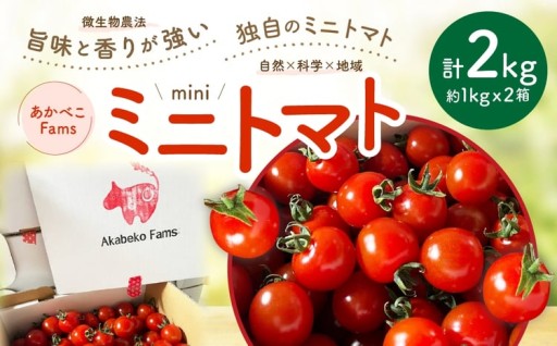 ミニトマト 約1kg × 2箱