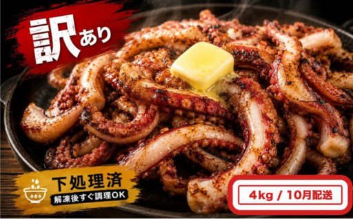 いか 〈 訳あり 〉10月配送 宮城県産 スルメイカ ゲソ 4kg 