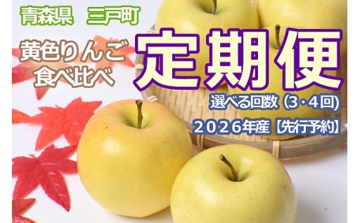 黄色りんご食べ比べ定期便　人気りんご食べ比べ（３・４回）【2026年産・先行予約】