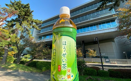 法政大学オリジナル緑茶「ほうせい茶」杵築産茶葉