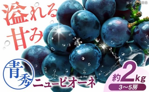 パリッとジューシー✨広島県三次市産ニューピオーネ