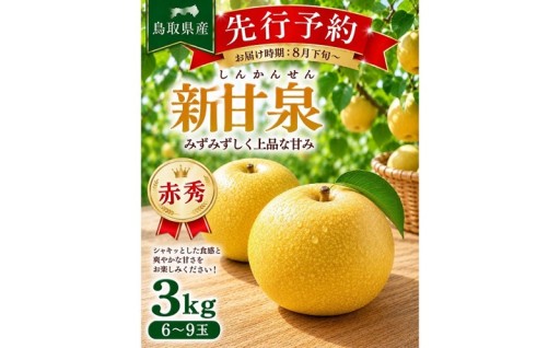 東商果樹園 新甘泉(赤秀)3kg(８月下旬から発送）