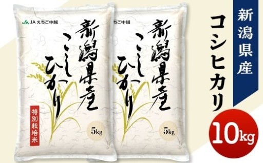 ★新米先行予約！令和8年産「新米」♪安心・安全のJA品質！