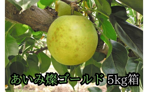 【締切間近】旬をお届け「あいみ燦ゴールド」です！
