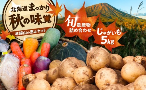 🍁実りの秋！じゃがいも5kgと旬の恵みセット