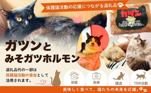 新登場！食べて保護猫活動を応援！