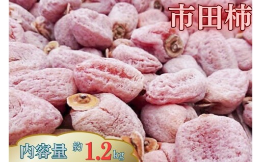 ☆人気のお礼の品！市田柿　徳用約1.2kg大袋☆