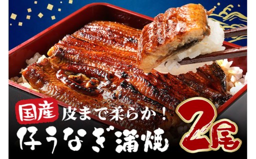 超特大!やわらか 国内産うなぎ蒲焼 220～250g 2尾