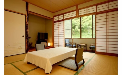 🥇泉質日本一🥇かめや旅館宿泊券♨️