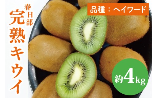 【予約】【12月上旬より発送】完熟キウイ4kg