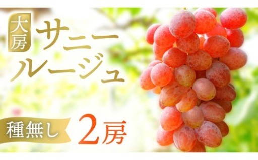 岩手県紫波町産サニールージュ★