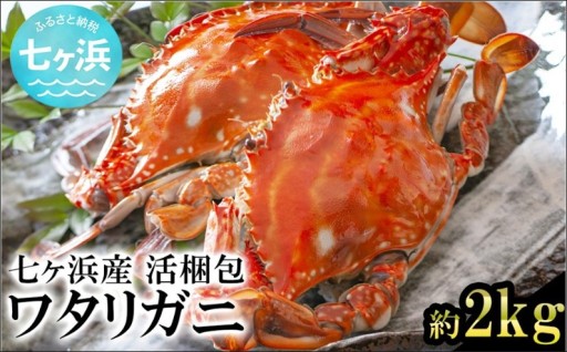 【先行予約受付中】2026年10月以降に生きたまま届きます！