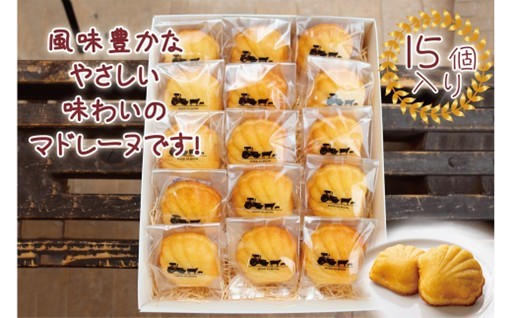 みんな大好き🤎バター風味豊かなマドレーヌ🧈