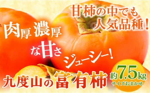 秋の恵みをたっぷりお届け！みずみずしく甘い富有柿7.5㎏