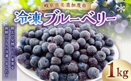 冷凍ブルーベリー 1kg 1個