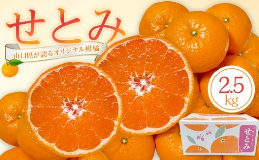 【2027年2月下旬～3月頃より順次発送】山口県が誇るオリジナル柑橘《せとみ》2.5kg