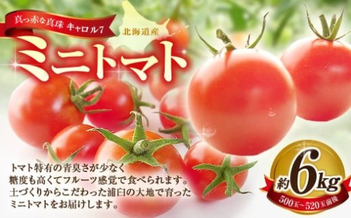 ミニトマト 約6kg 