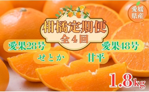🍊【定期便】全4回 愛果28号・せとか・甘平・愛果48号🍊約1.8kg🚚