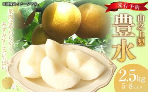 《先行予約》｢丸坂山田農園｣ 山之上梨 豊水 1箱 （ 約2.5kg ／ 5～8玉 ） 