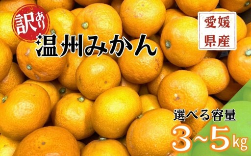 🍊みかんをいっぱい食べたいあなたへ！【訳あり】温州みかん【選べる容量】3kg 5kg🍊