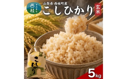 富士山麓の恵みを味わう、玄米コシヒカリ