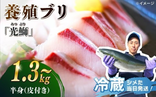 受付再開！西海育ちの光鰤を鮮度抜群で産地直送