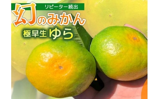 イチオシ商品は「服部農園の極早生ゆらみかん」