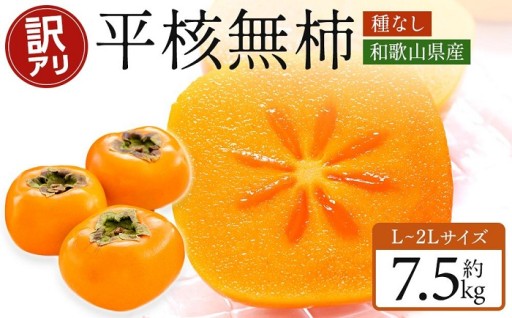和歌山県産 訳あり 柿 平核無柿 7.5kg L ~ 2L サイズ たねなし柿