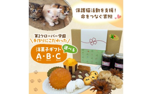 ✨命をつなぐ、あたたかい寄付😻