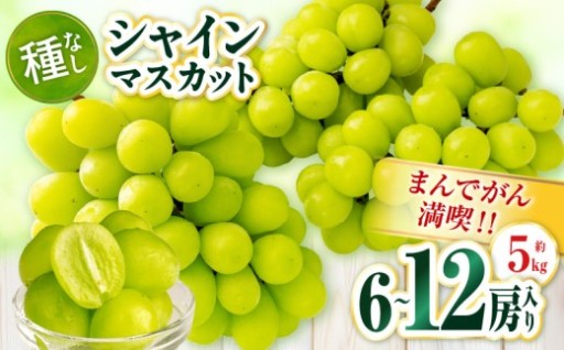 まんでがん満喫‼　シャインマスカット　約5kg