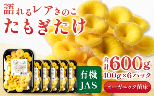 食卓を彩る黄色い傘「オーガニックたもぎたけ」🍄