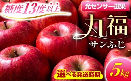 選べる配送時期🍎りんご 約5kg 丸福 サンふじ
