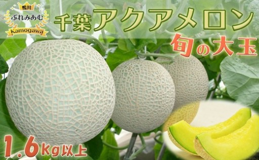 ＼8月31日まで！／ 旬の大玉プレミアムメロン