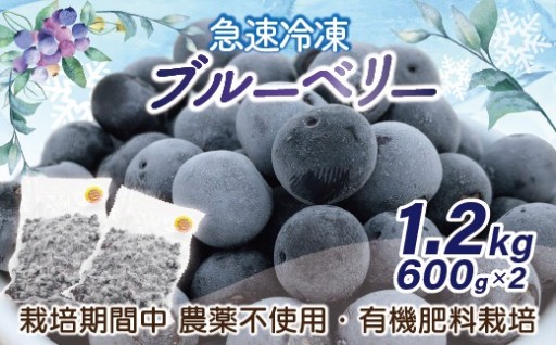 急速冷凍！栽培期間中農薬不使用ブルーベリー