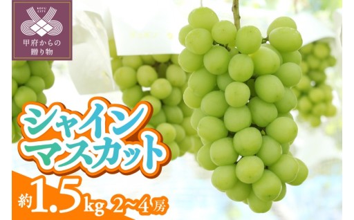 甲府市産シャインマスカット約1.5kg