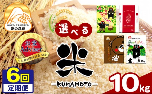 【定期便6回】お米アドバイザーにおまかせ 10kg×6回