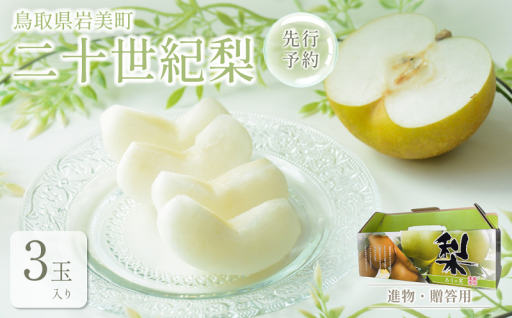 【贈答用に！】鳥取県「二十世紀梨」3玉入り