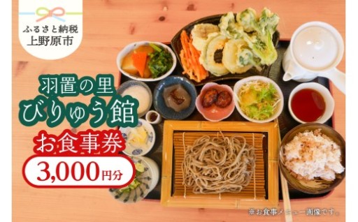 【羽置の里・びりゅう館】お食事券3000円分