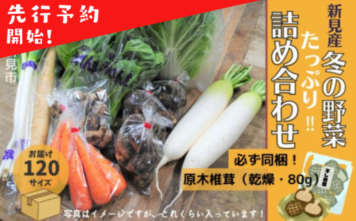 【冬野菜たっぷり詰め合わせ】先行予約開始！11月中旬から1月中旬にかけて発送します。
