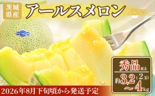 【贅沢な旬の味覚…♡】アールスメロン 秀品2玉（約3.2kg～4kg ）