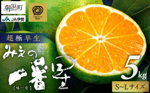 【まもなく収穫始まります🙌】JAみえの一番星（味一号）5キロ🍊